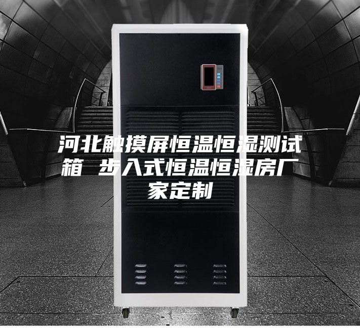 河北触摸屏恒温恒湿测试箱 步入式恒温恒湿房厂家定制