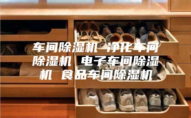 车间除湿机 净化车间除湿机 电子车间除湿机 食品车间除湿机