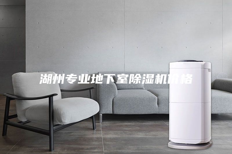 湖州专业地下室除湿机价格
