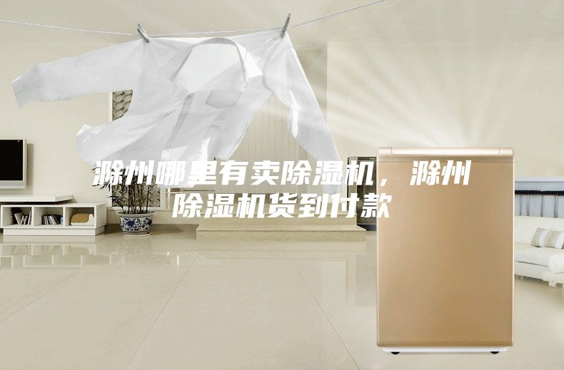 滁州哪里有卖除湿机，滁州除湿机货到付款