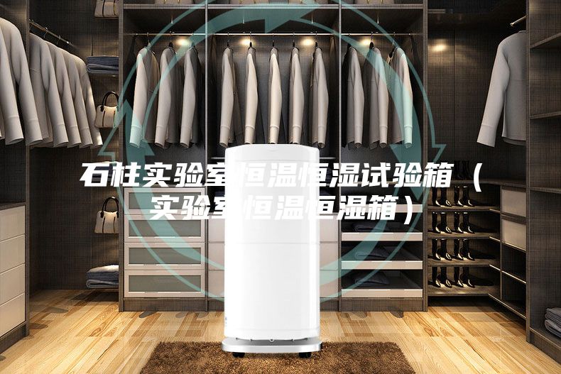 石柱实验室恒温恒湿试验箱(实验室恒温恒湿箱)