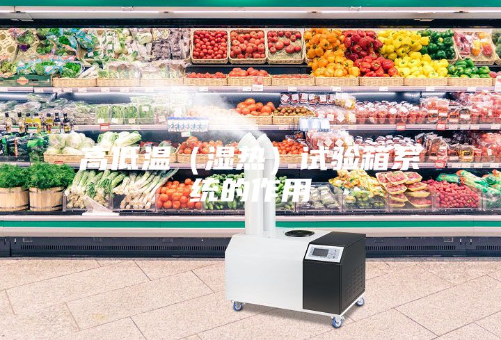 高低温（湿热）试验箱系统的作用