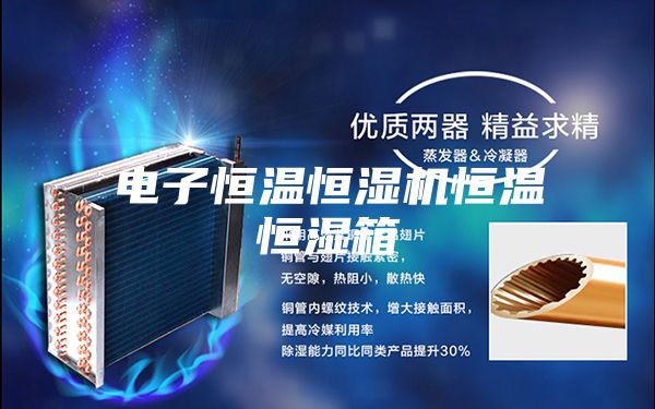 电子恒温恒湿机恒温恒湿箱