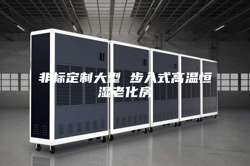 非标定制大型 步入式高温恒湿老化房