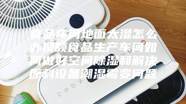 食品车间地面太湿怎么办视频食品生产车间如何做好空间除湿和解决原料设备潮湿霉变问题
