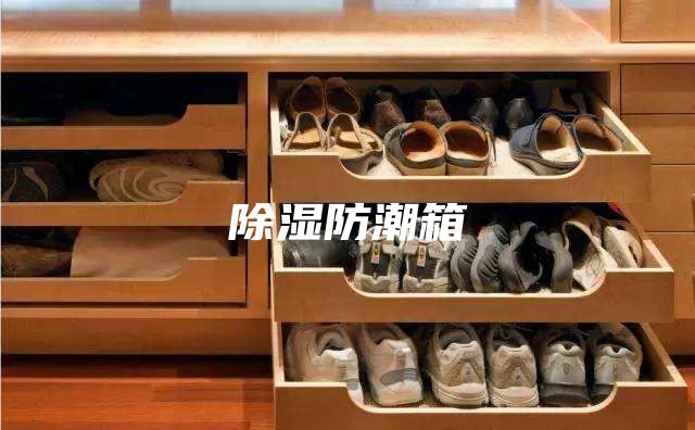 除湿防潮箱