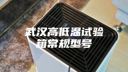 武汉高低温试验箱常规型号