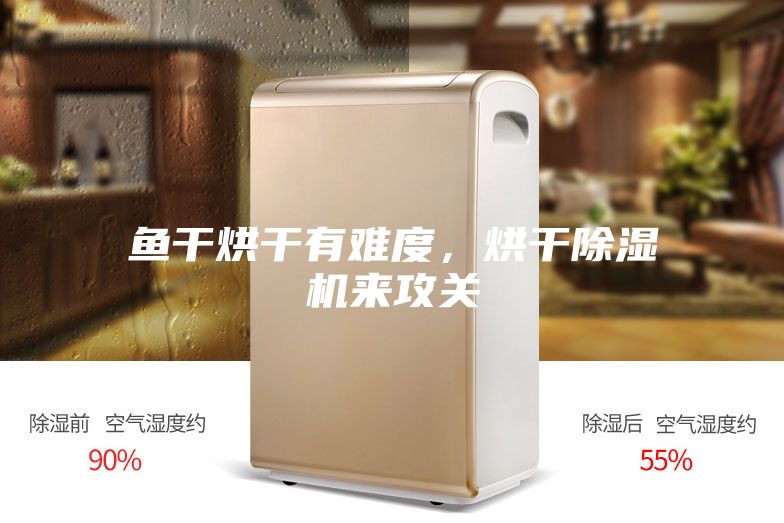 鱼干烘干有难度,烘干除湿机来攻关