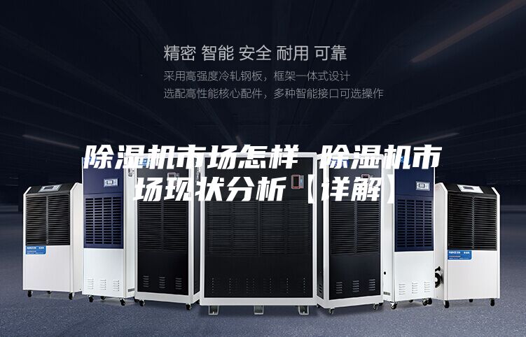除湿机市场怎样 除湿机市场现状分析【详解】