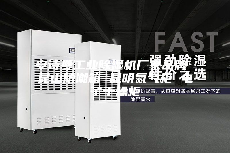 安诗曼工业除湿机厂家品牌 昆山防潮箱 昆明氮气柜 电子干燥柜