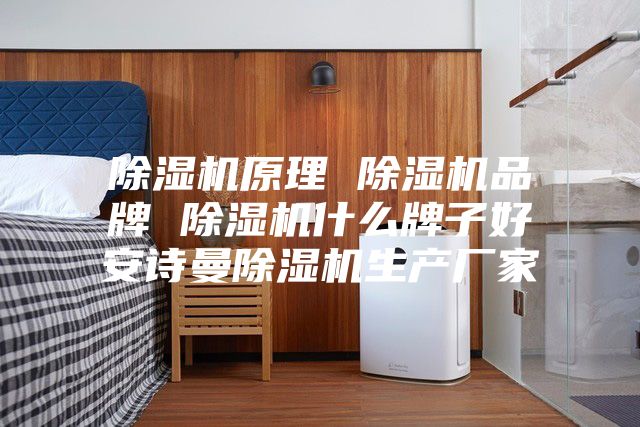 除湿机原理 除湿机品牌 除湿机什么牌子好安诗曼除湿机生产厂家