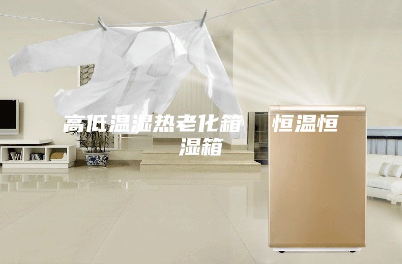 高低温湿热老化箱 恒温恒湿箱