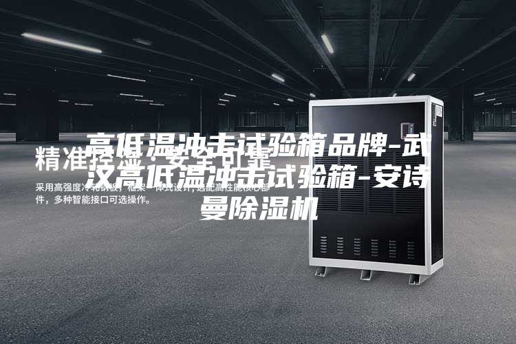 高低温冲击试验箱品牌-武汉高低温冲击试验箱-安诗曼除湿机