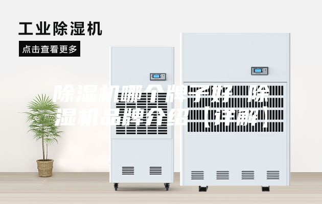 除湿机哪个牌子好 除湿机品牌介绍【详解】