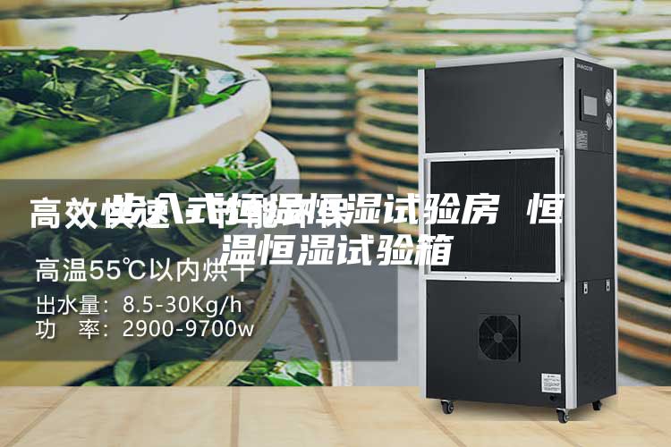 步入式恒温恒湿试验房 恒温恒湿试验箱