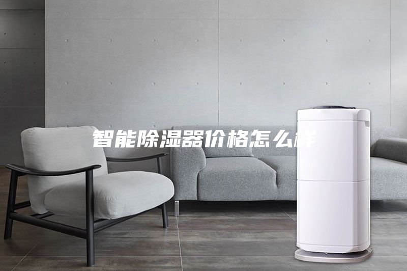 智能除湿器价格怎么样