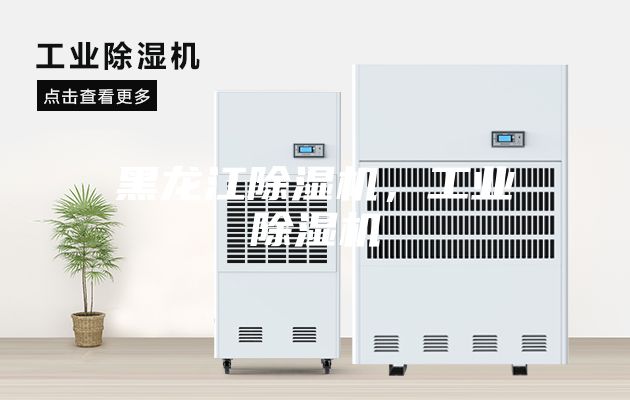 黑龙江除湿机,工业除湿机