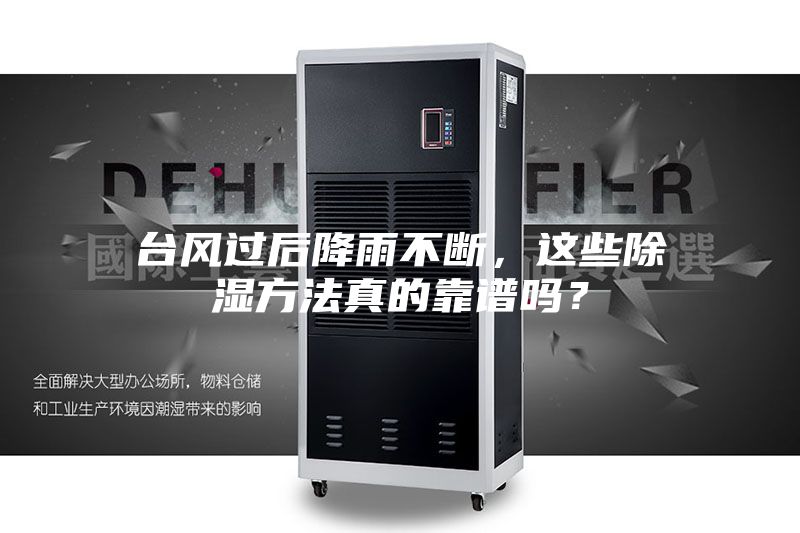 台风过后降雨不断，这些除湿方法真的靠谱吗？