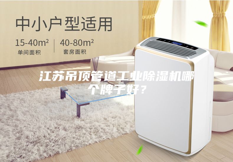 江苏吊顶管道工业除湿机哪个牌子好？