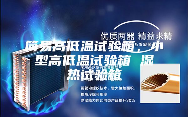 简易高低温试验箱，小型高低温试验箱 湿热试验箱