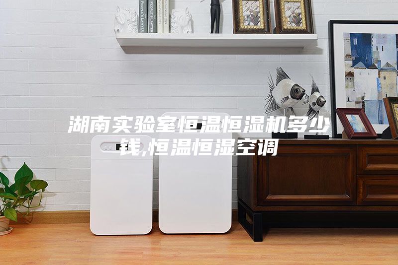 湖南实验室恒温恒湿机多少钱,恒温恒湿空调