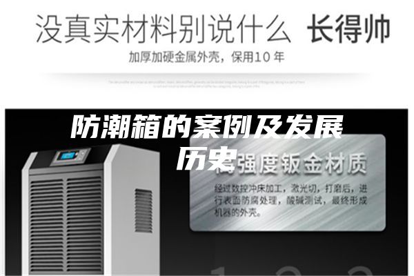 防潮箱的案例及发展历史