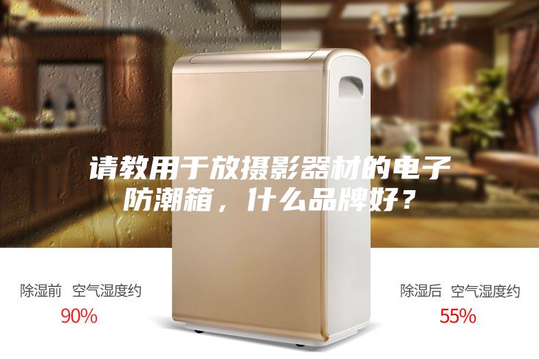 请教用于放摄影器材的电子防潮箱，什么品牌好？