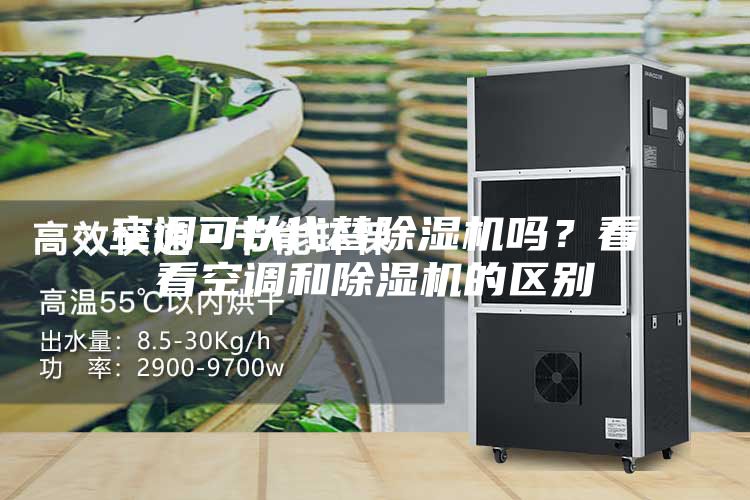空调可以代替除湿机吗？看看空调和除湿机的区别