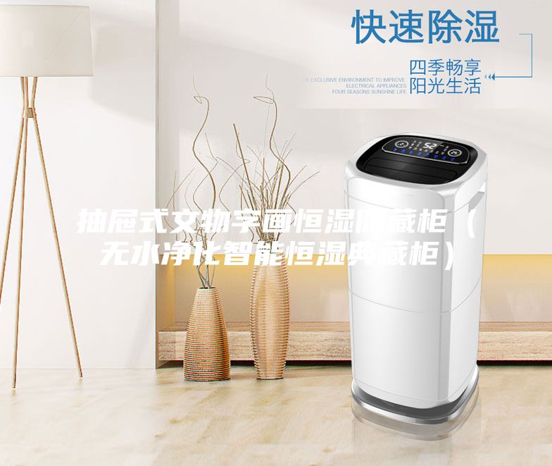 抽屉式文物字画恒湿储藏柜（无水净化智能恒湿典藏柜）