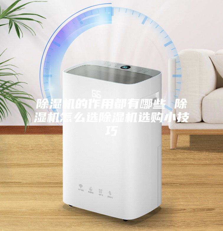 除湿机的作用都有哪些 除湿机怎么选除湿机选购小技巧