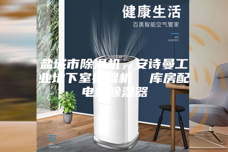 盐城市除湿机,安诗曼工业地下室抽湿机 库房配电房除湿器
