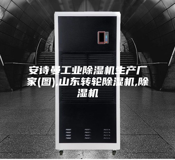 安诗曼工业除湿机生产厂家(图),山东转轮除湿机,除湿机