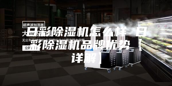 日彩除湿机怎么样 日彩除湿机品牌优势【详解】