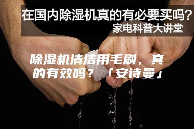 除湿机清洁用毛刷,真的有效吗?「安诗曼」