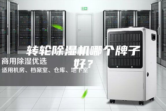 转轮除湿机哪个牌子好?