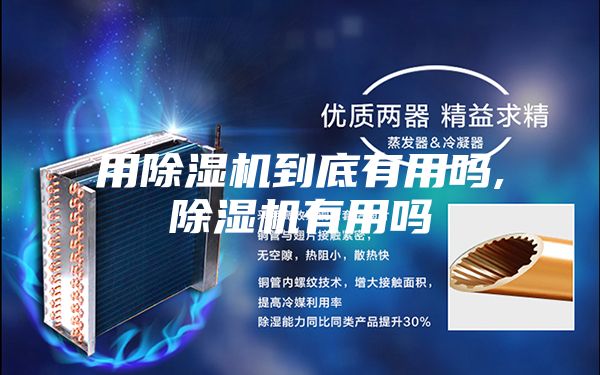 用除湿机到底有用吗,除湿机有用吗