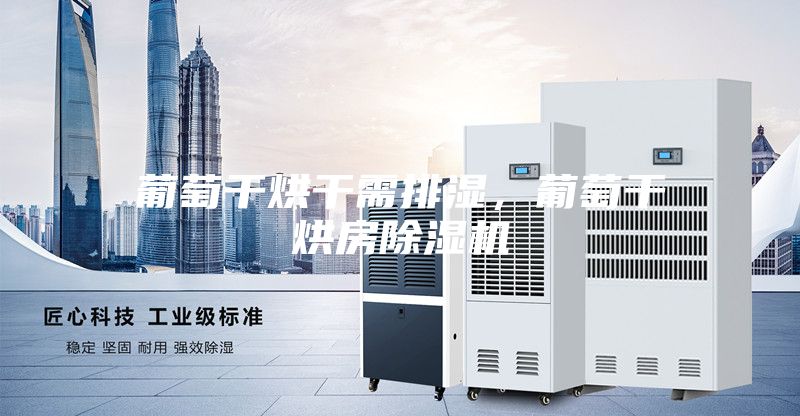 葡萄干烘干需排湿，葡萄干烘房除湿机