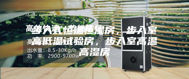步入式恒温恒湿房,步入室高低温试验房,步入室高温高湿房
