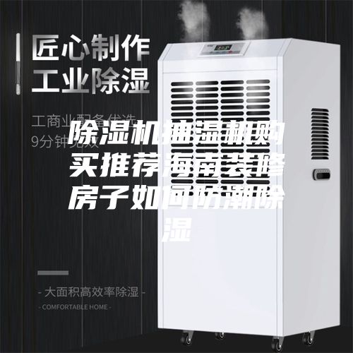 除湿机抽湿机购买推荐海南装修房子如何防潮除湿
