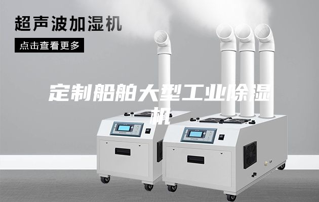 定制船舶大型工业除湿机