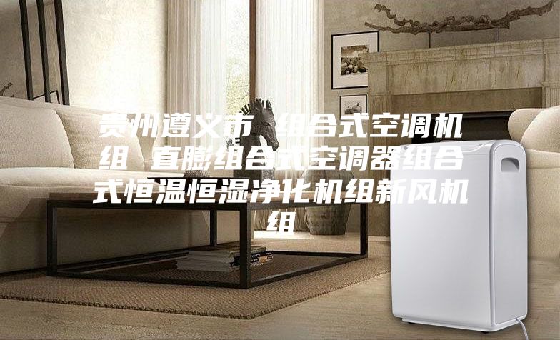 贵州遵义市 组合式空调机组 直膨组合式空调器组合式恒温恒湿净化机组新风机组