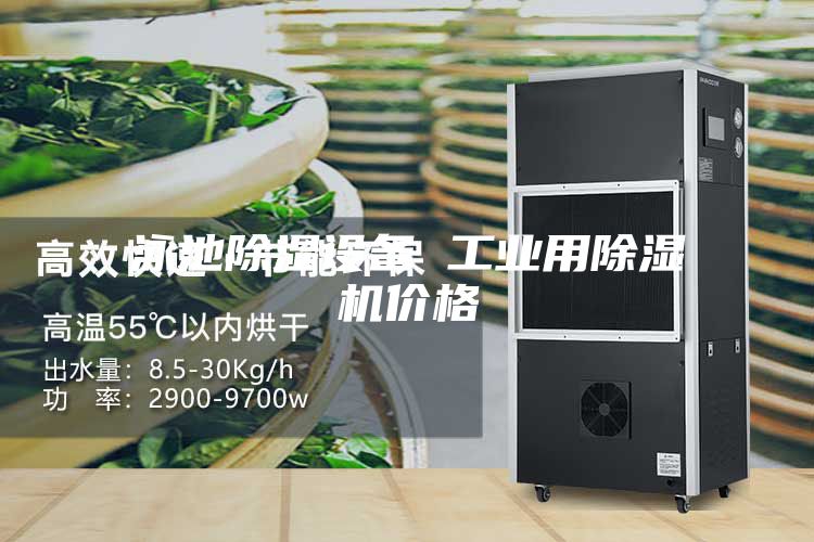 泳池除湿设备 工业用除湿机价格