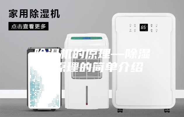 除湿机的原理—除湿机原理的简单介绍