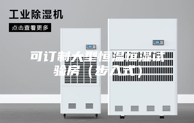 可订制大型恒温恒湿试验房（步入式）