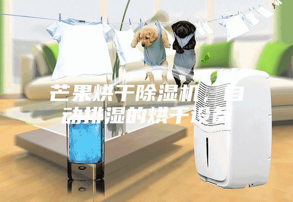 芒果烘干除湿机，自动排湿的烘干设备