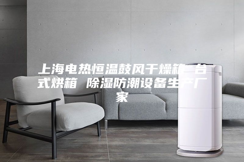 上海电热恒温鼓风干燥箱 台式烘箱 除湿防潮设备生产厂家