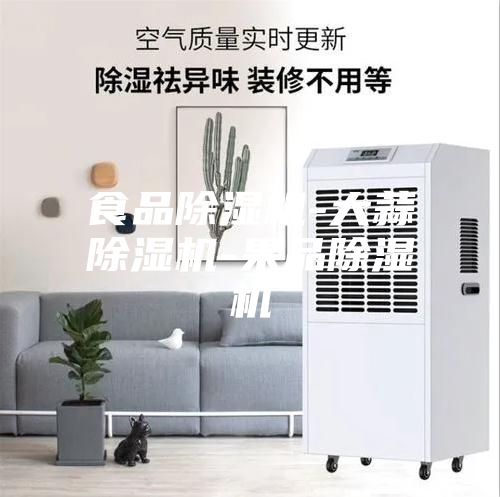 食品除湿机-大蒜除湿机-果品除湿机
