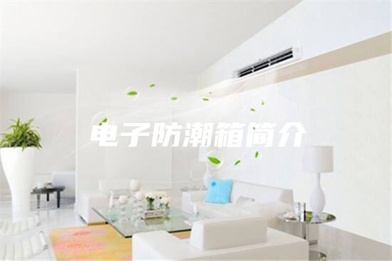 电子防潮箱简介