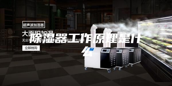 除湿器工作原理是什么