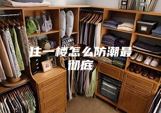 住一楼怎么防潮最彻底